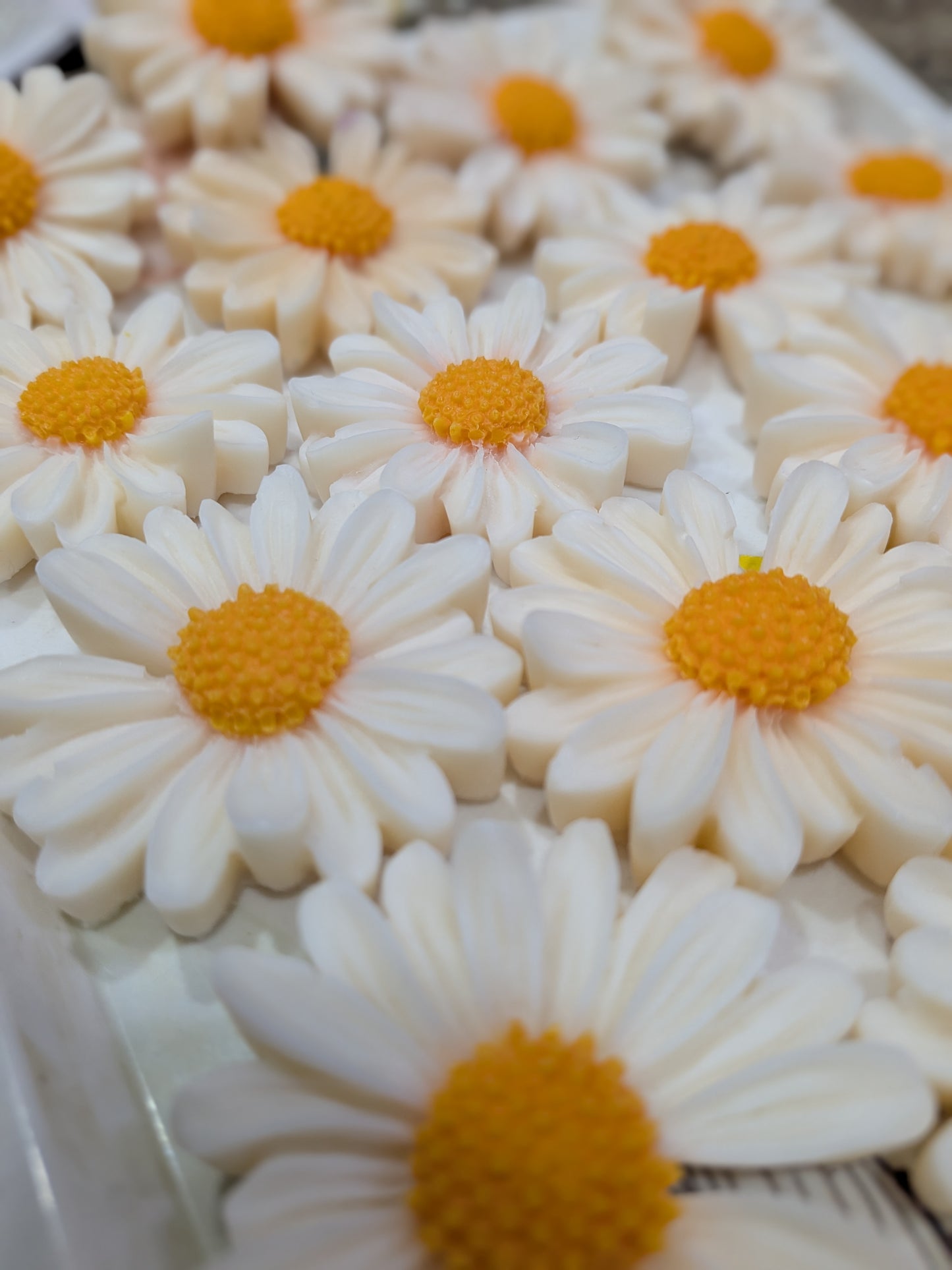 Daisy Candle - Pair of 50